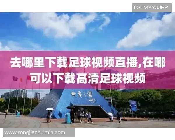 哪里可以观看足球比赛的动画直播平台推荐与使用指南